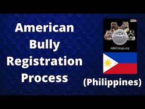 American Bully Registration Process sa Philippines