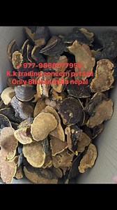If you have mulberry mushroom please contact me WhatsApp 977-9866077948 nepal 🇳🇵 Bhutan India nepal can trade high quality high price | Himalayan Herbs