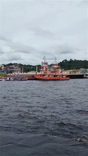 Se inscreva no Canal Deixe seu like #paisagem #natureza #beleza #rio #Manaus #turismo #fauna