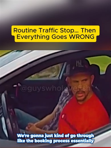 Routine Traffic Stop… Then Everything Goes WRONG #trafficstop #police #chaos #fyp #viral