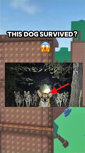 How is this possible!?? 😱