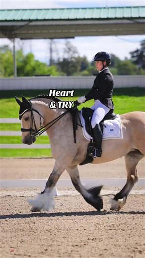 Achieving Riding Goals with Gypsy Vanners