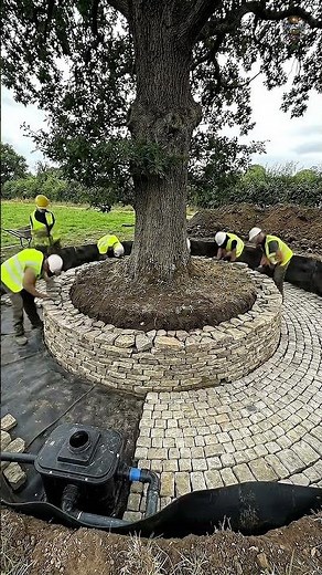 Building a Luxury Tree Island Pond: Ultimate Backyard Transformation 🌳💦