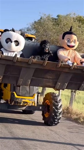 Jcb 3dx loading Mud in TATA Tippers Tractors Swaraj 855 Fe New Holland 3630 Tractor jcb Thar truck