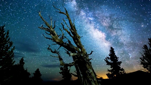 New film 'a love letter' to the dark sky