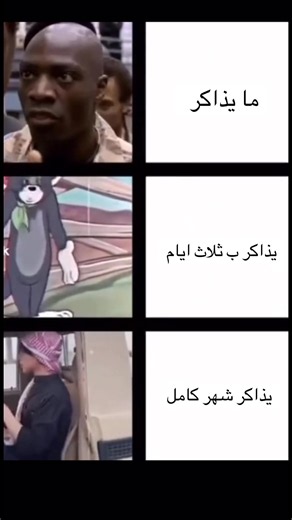 وانت جايب 100 بعد ما ذاكرت 😎🤚🏻#اختبارات_نهائيه #اختبارات_نهائيه #2021
