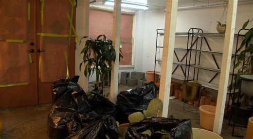 Insurance company reverses denial on Nashville plant store claim following public outcry