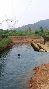 Cheese attack #reel #reels #trending #viral #viralreels #video #tiger #wildlife #reelsvideo | Prakash Dehury