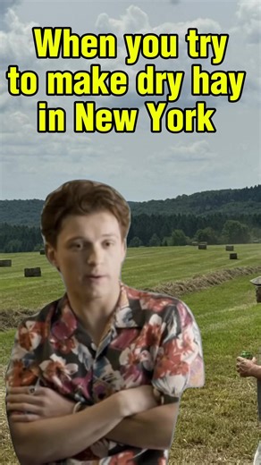 #MyHayStory #HayNow #Hay2025 #NYHaySales #HayEd