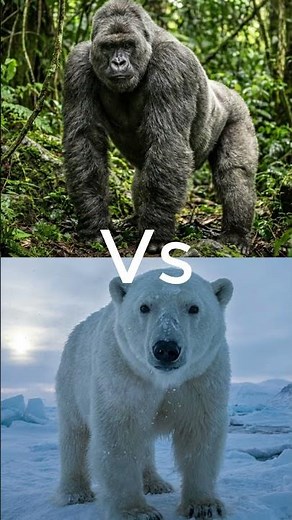 Real Animals vs Dinosaurs… You Won’t Believe Who Wins at the End