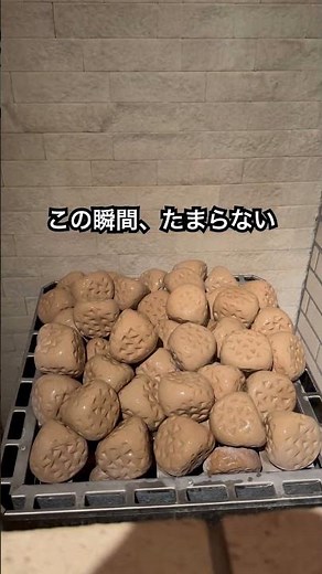 函館で唯一の露天水風呂があるサウナ宿がすごい！#函館 #サウナ #ととのう #温泉 #北海道旅行
