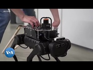 Un chien-robot pour les malvoyants