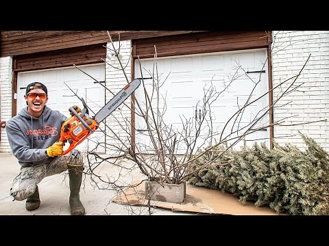 Building CHEAP & EASY Crappie Fishing Houses with Backyard Wood