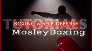 Sonny Liston vs Roy Harris | HIGH QUALITY - First Round Knockout | Hardest Punchers In Boxing