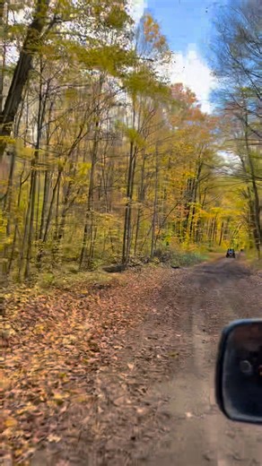 Roger Fisher on Reels