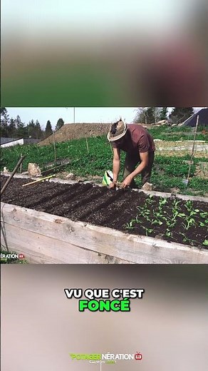 🔥 SOWING carrots: SOIL helps a lot! 🥕💪