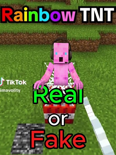 Real or Fake Part 6 Rainbow TNT #minecraft #realorfake #rainbow #trick #fyp