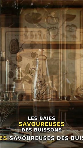 Uncovering the Truth Behind Natural Selection: Charles Darwin's Groundbreaking Theory