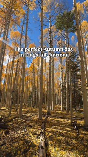 Fall Colors And Scenic Moments In Flagstaff Arizona