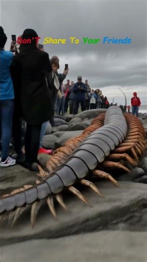 👉 “Insects aren't scary. insects, insects scary, insects funny