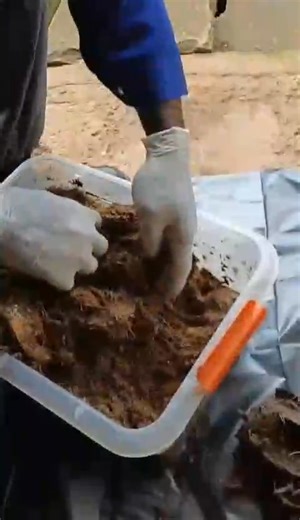 🚨🚨🚨 Actuellement a Yaoundé, les cycles de formation continue , pour plus d'informations contactez le 682995921 | MDN-Agri-Center