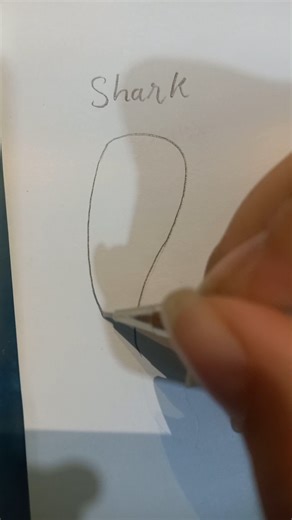 How to draw tail animals