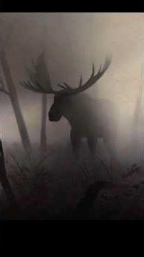 Unsettling Images You Wish You Never Saw… #creepy #disturbing #weirdimages #creepyphotos #unsettling