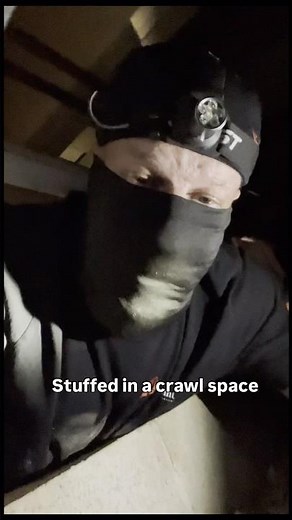 Why Termite Treatment Still Matters (Even With No Active Termites)