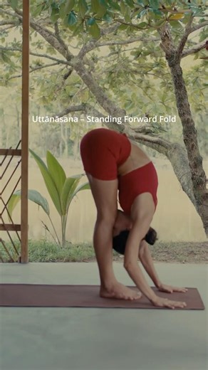 Uttanasana – Standing Forward Fold | Alignment & Benefits