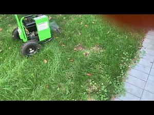 Why the Burrow RX is Perfect for Moles