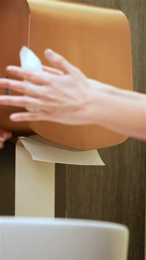Paper Towel Dispenser Tierra, Manual 304 Steel Tissue Dispenser for Commercial Washbasins | Euronics