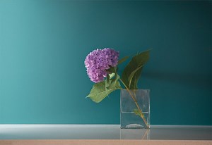 Psychology of Color | Benjamin Moore