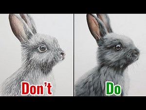 Dos And Don'ts Of Drawing Fur