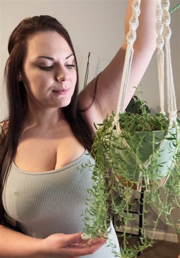 My string of bananas has grown so much I can’t help but brag 😜 | banana