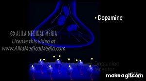 Neuroscience Basics: Dopamine Reward Pathway, Animation. on Make a GIF