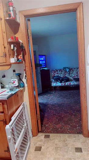 Board Party Ideas for Your Next Celebration