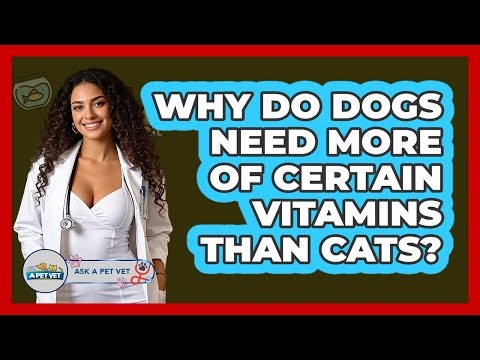 Why Do Dogs Need More Of Certain Vitamins Than Cats? - Ask A Pet Vet