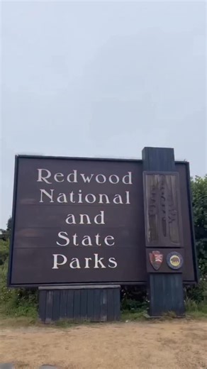 Parque Nacional Redwood Redwood National and State Parks #redwood #california #hiddengems #viajandoporcalifornia1 #travel | Remy Martyn