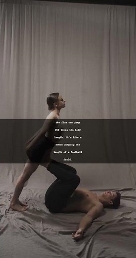 "Fleas: The Tiny Jumping Champions of the Animal Kingdom!"