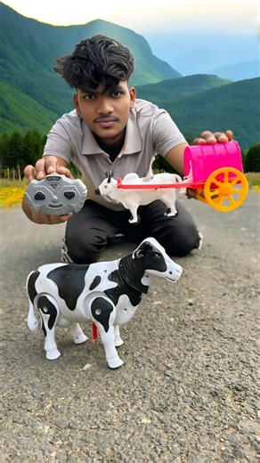 Big And Small Two Remote Control Cow 🐄 Vehicle Unboxing