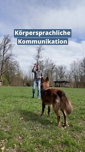 23K views · 174 reactions | Körpersprachliche Kommunikation.✋ Die...
