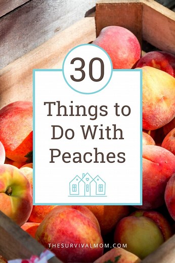 30 Things to Do With Peaches Today! - Survival Mom