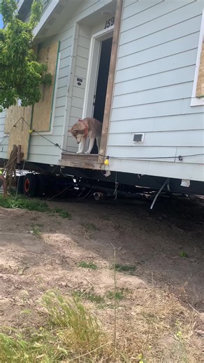 Here is another video from that double wide that we moved the other day #lover.boy1099 #nemo.831_ #ft_lucas_ #forest_ewing1 #craigmery488