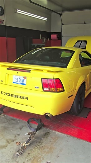01 Cobra dyno run