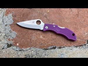 The Spyderco Ladybug Pocket Knife: Knife Standards Overview