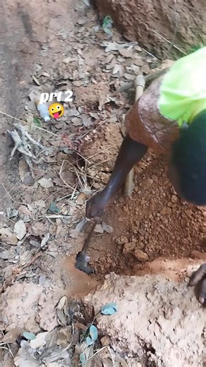 Vidéos de @1e héro 226 🇧🇫223🇲🇱🇳🇪 (@1hero226) avec original sound - D mdoli