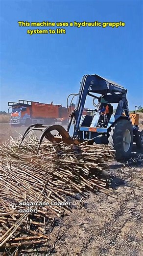 Heavy Duty Sugarcane Loader Boosting Harvest Efficiency #SugarcaneHarvest #FarmMachinesUSA #farming