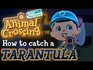 How To Catch a TARANTULA - ACNH [TUTORIAL]