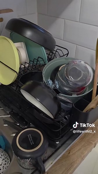 Cleaning Tips for Dog Owners: Tackling Messy Moments