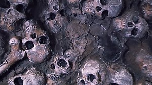 8.4K views · 149 reactions | The final episode of Legends of Howl-O-Scream, our weekly series that explores the dark tales that inspired the park's haunted houses, will chill you to the bone.  Steel your courage and enjoy Legends of Howl-O-Scream: Chronicles of the Catacombs. | Busch Gardens Williamsburg | Facebook